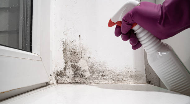 Stillwater, OK Water damage restoration Company